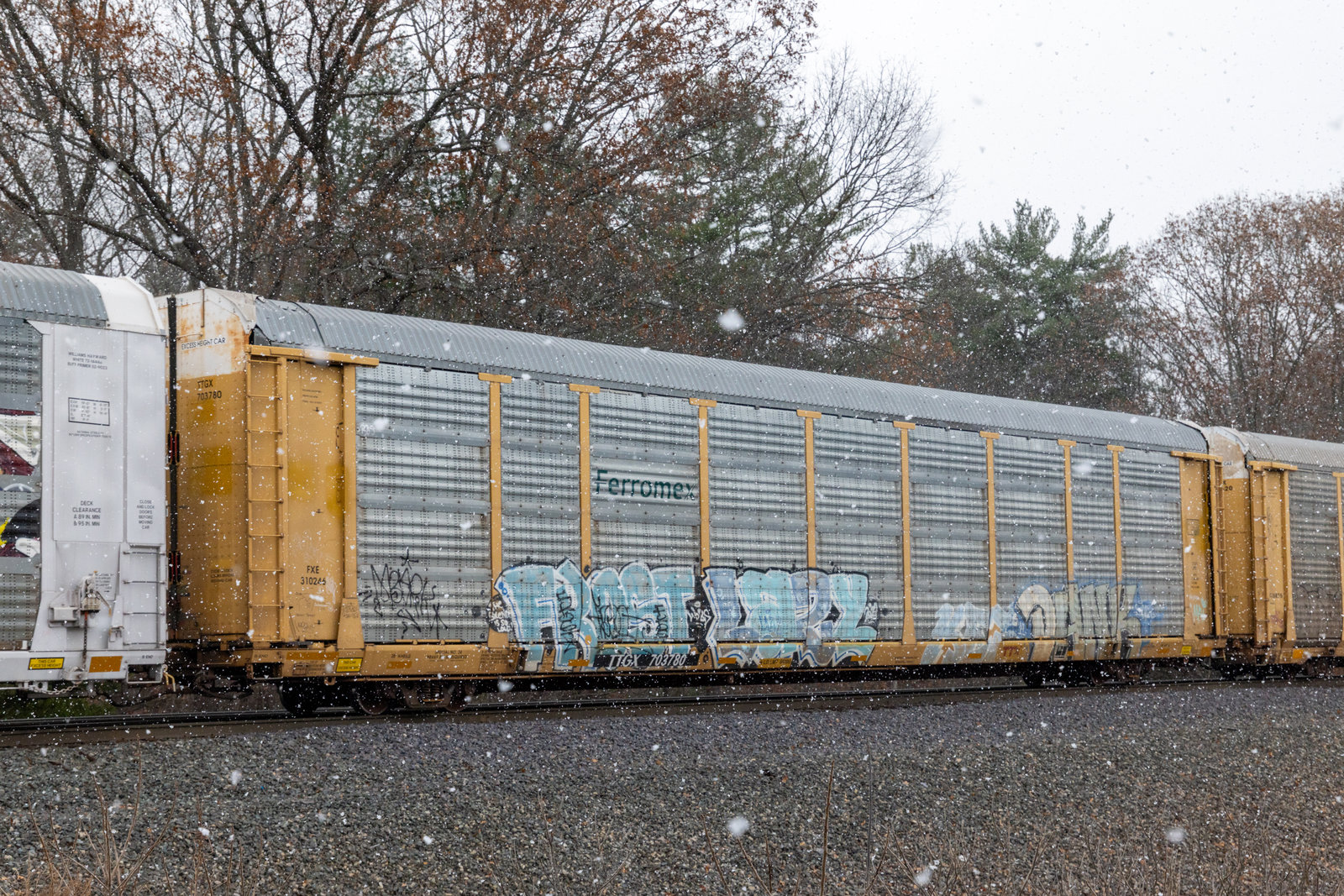 TTGX 703780