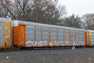 TTGX 952851