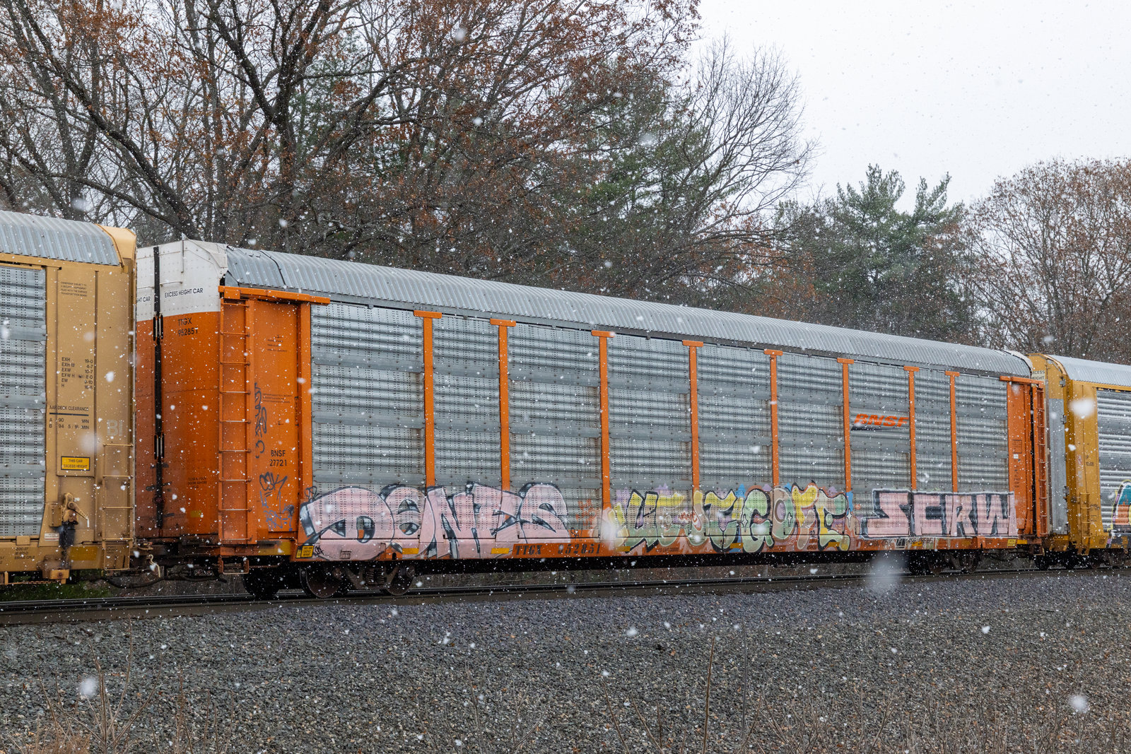 TTGX 952851