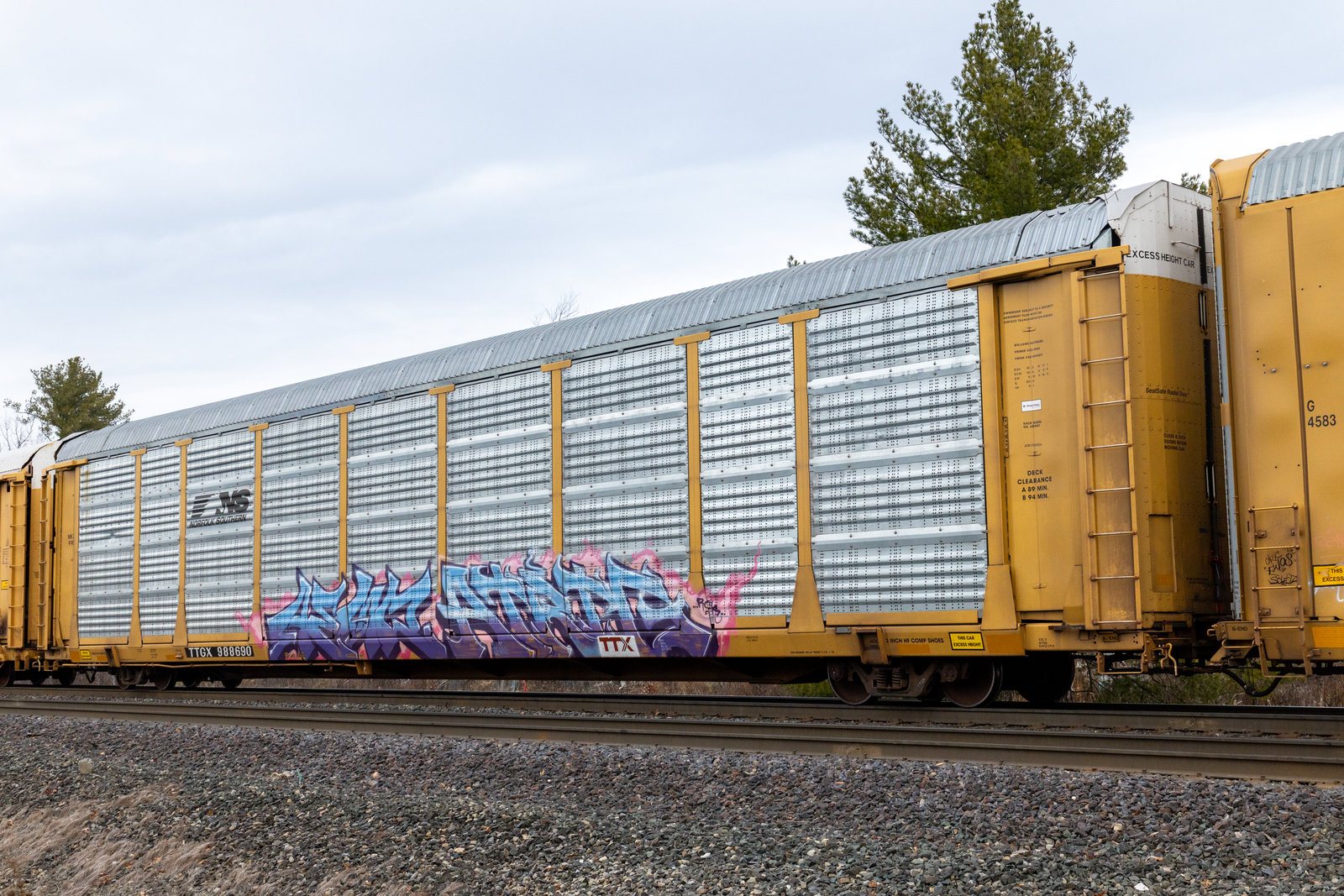 TTGX 988690