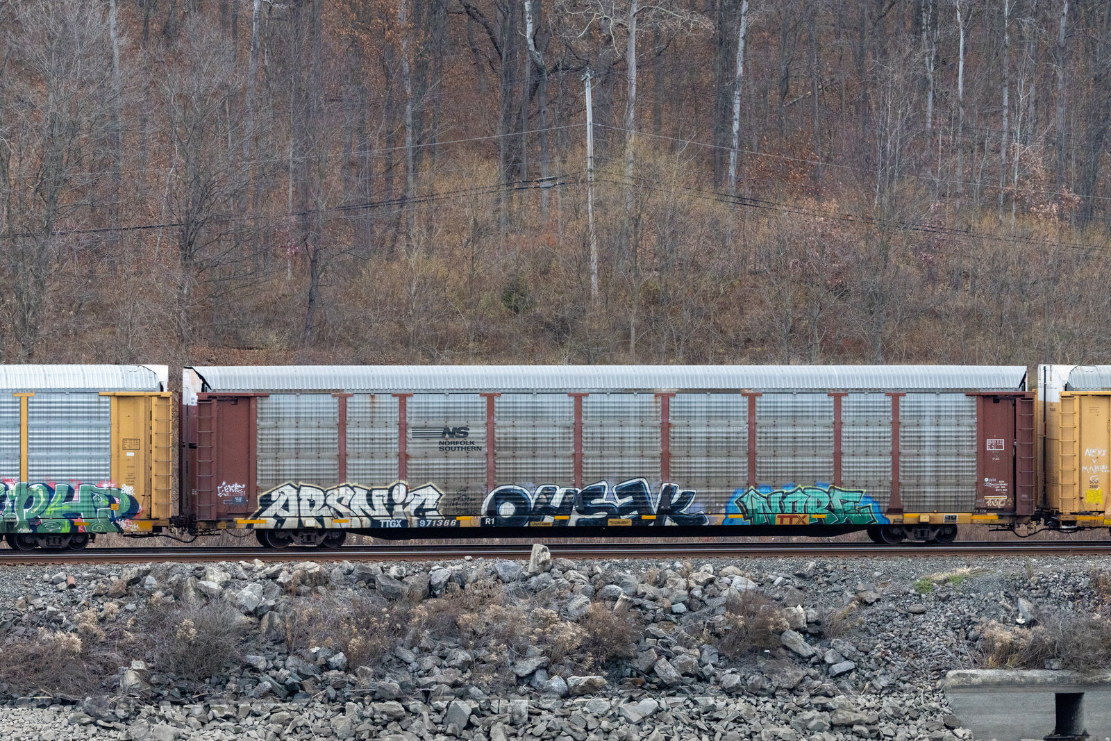 TTGX 971366