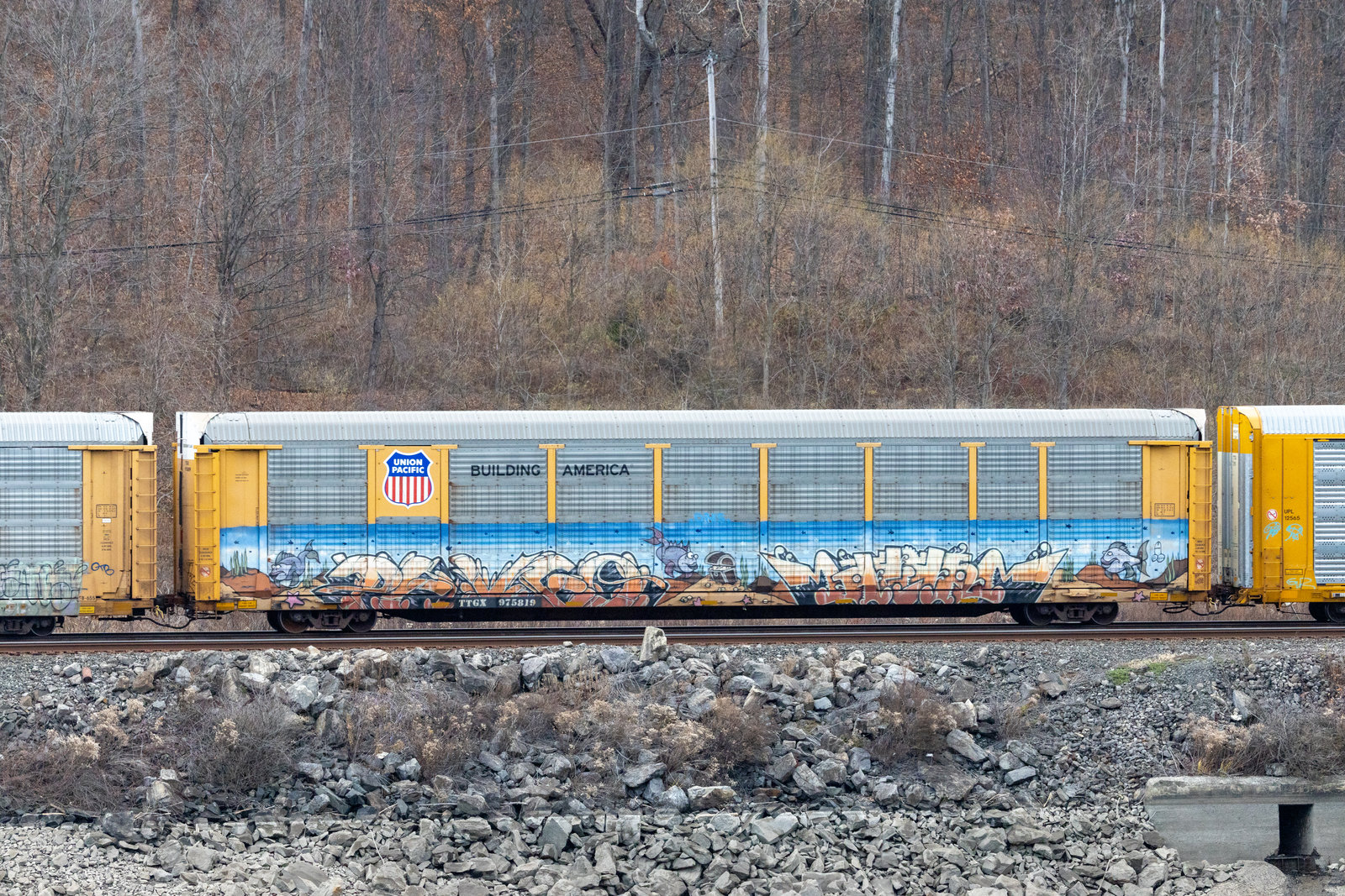 TTGX 975819