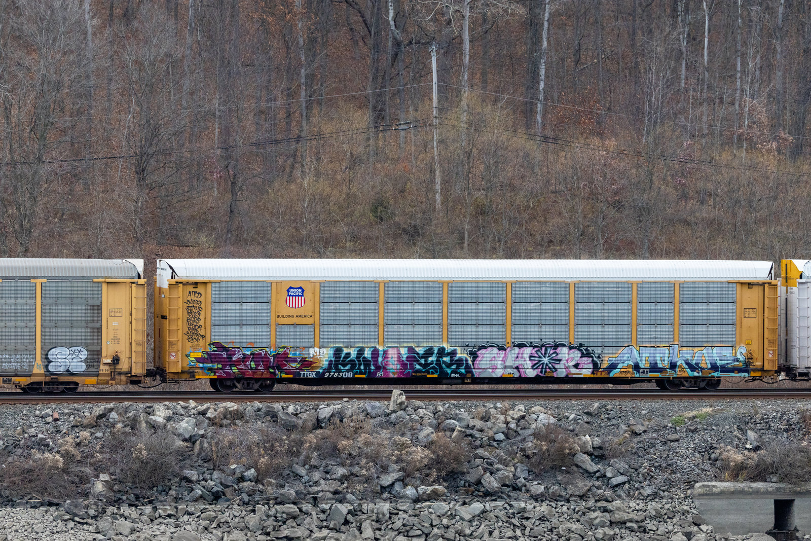 TTGX 978308