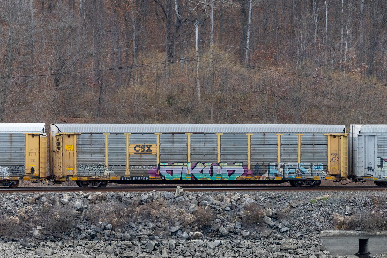 TTGX 975709
