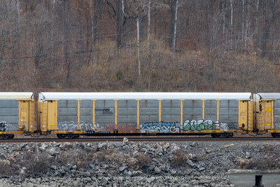 TTGX 942366