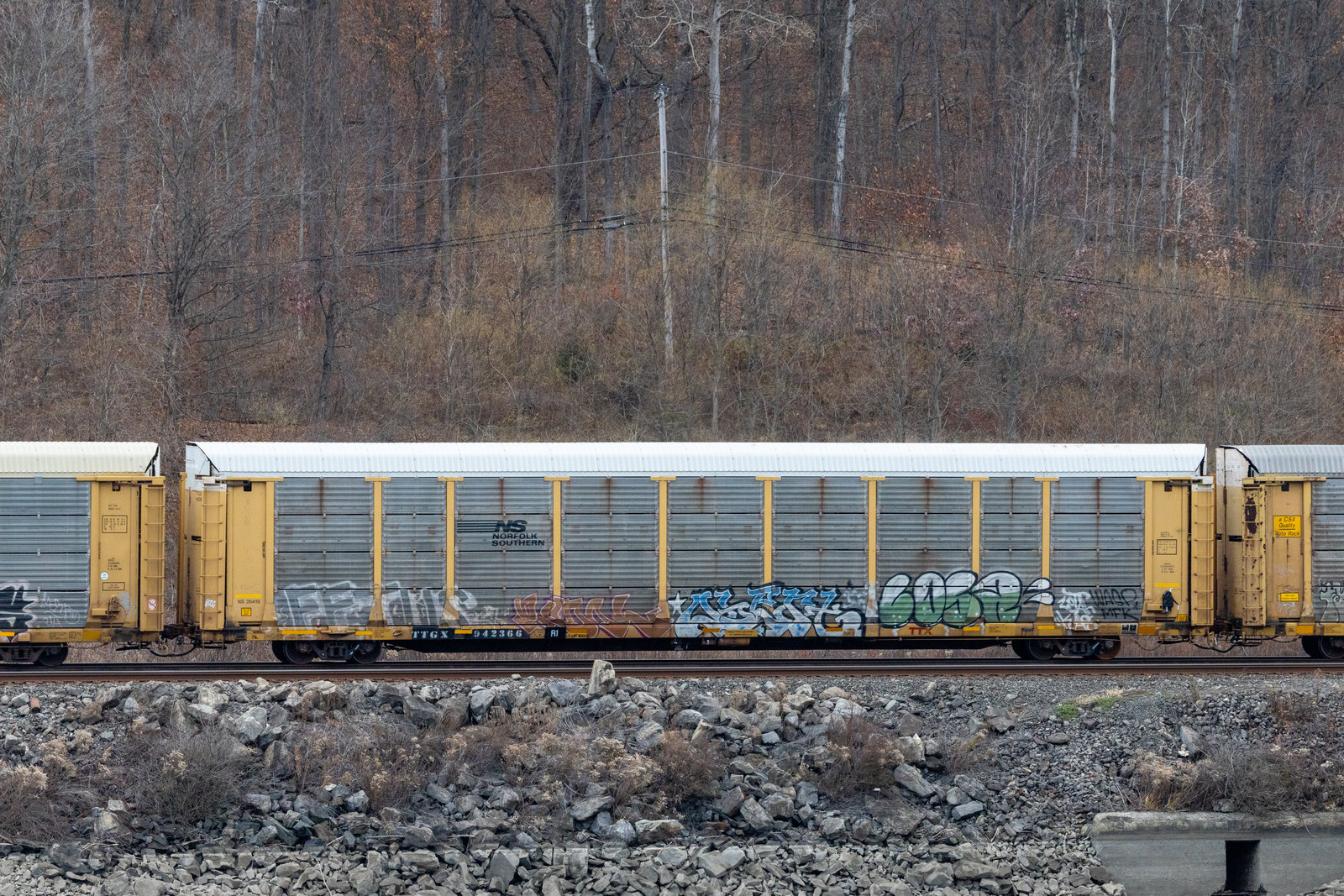 TTGX 942366