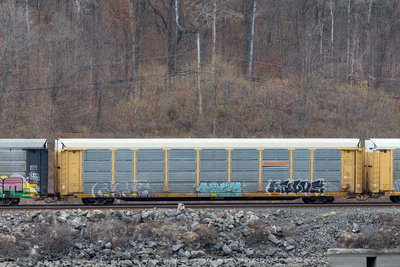 TTGX 975128