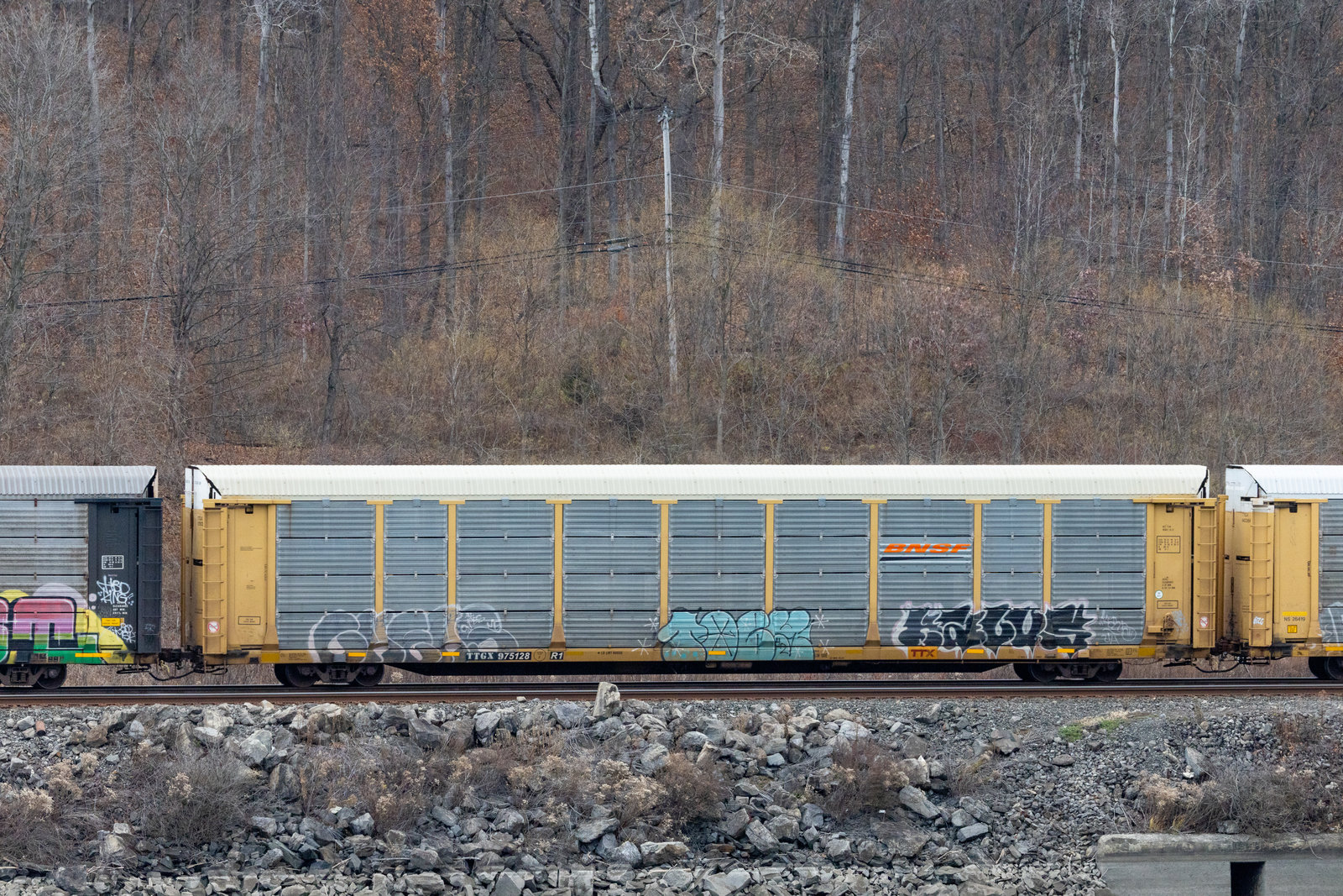 TTGX 975128