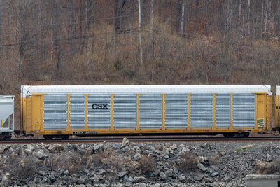 TTGX 986363