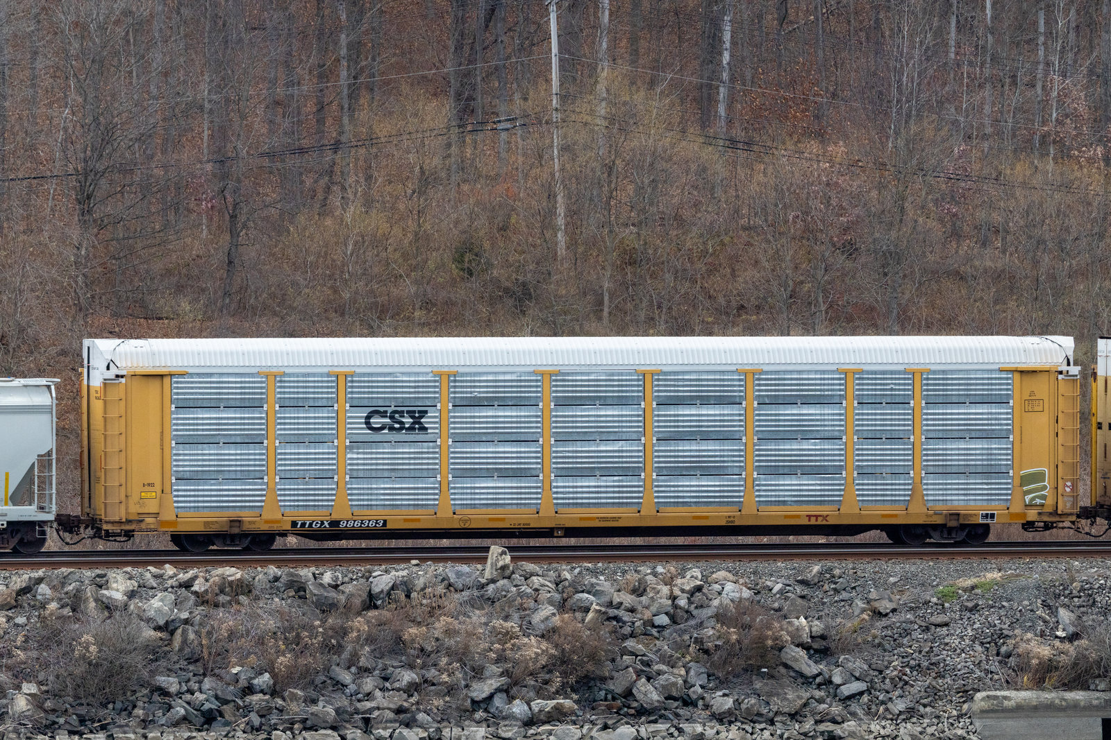 TTGX 986363