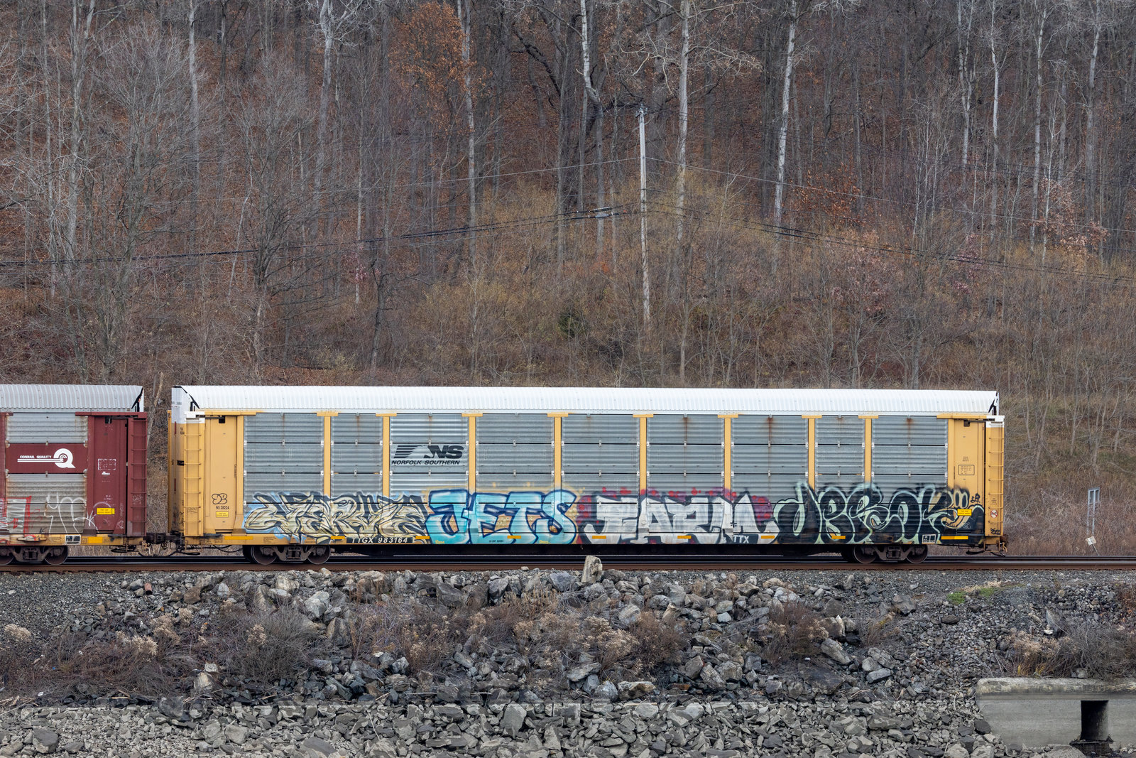 TTGX 983164