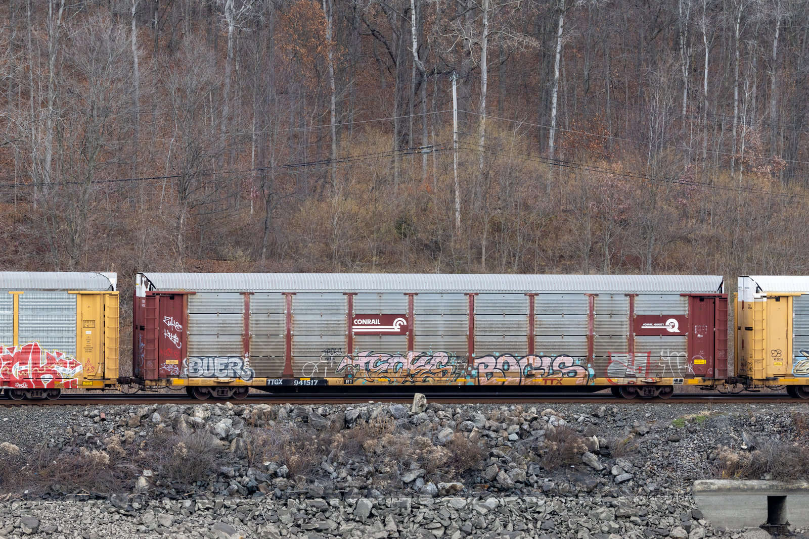 TTGX 941517
