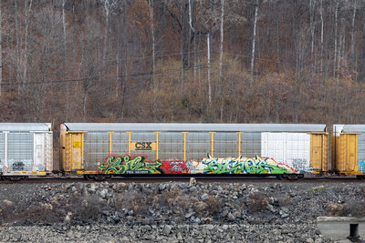 TTGX 982095