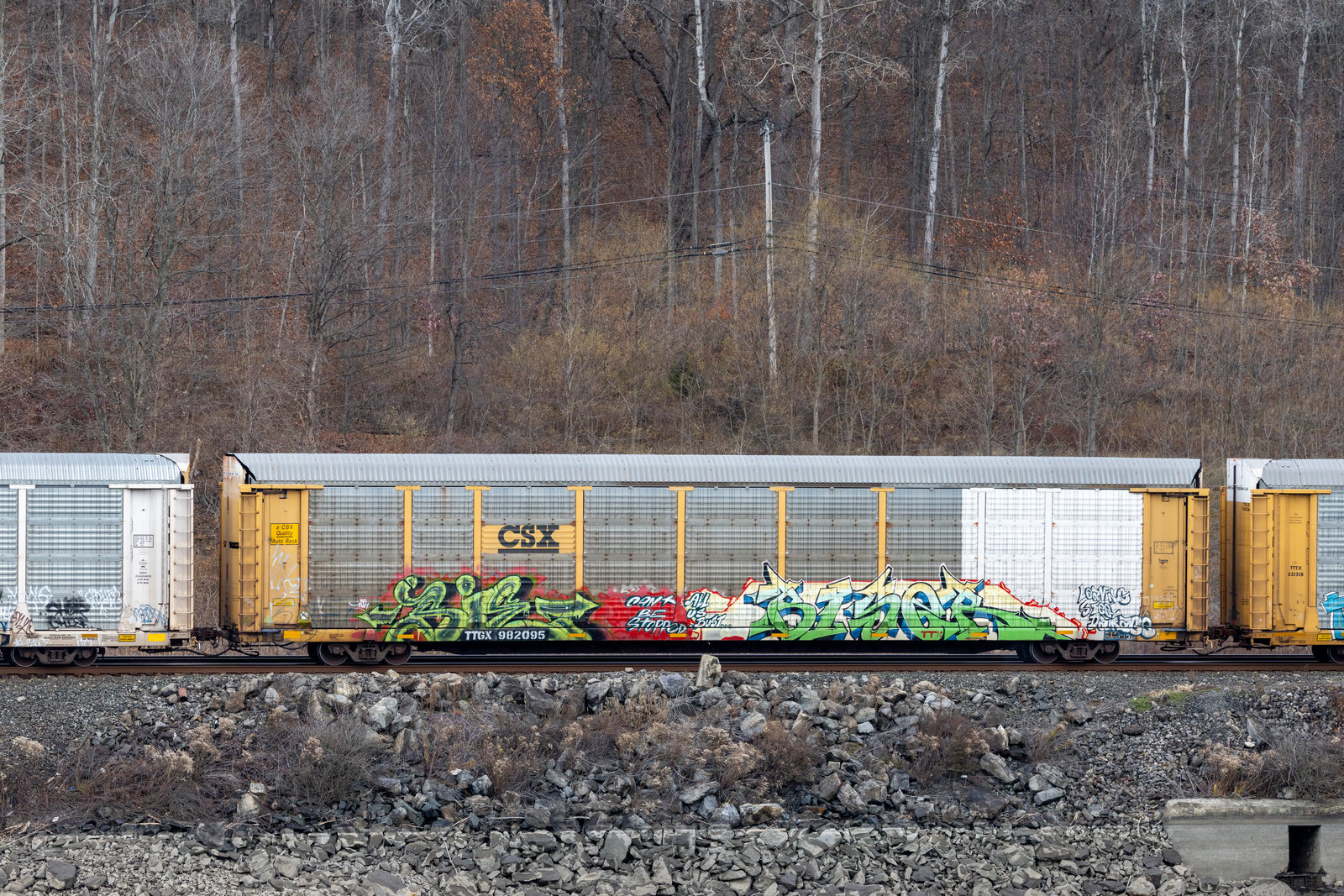 TTGX 982095
