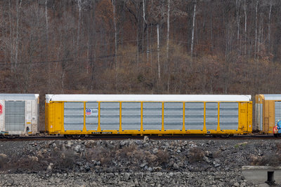 TTGX 995734