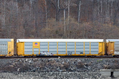 TTGX 975618