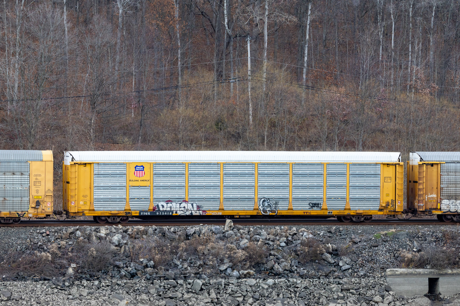 TTGX 975618