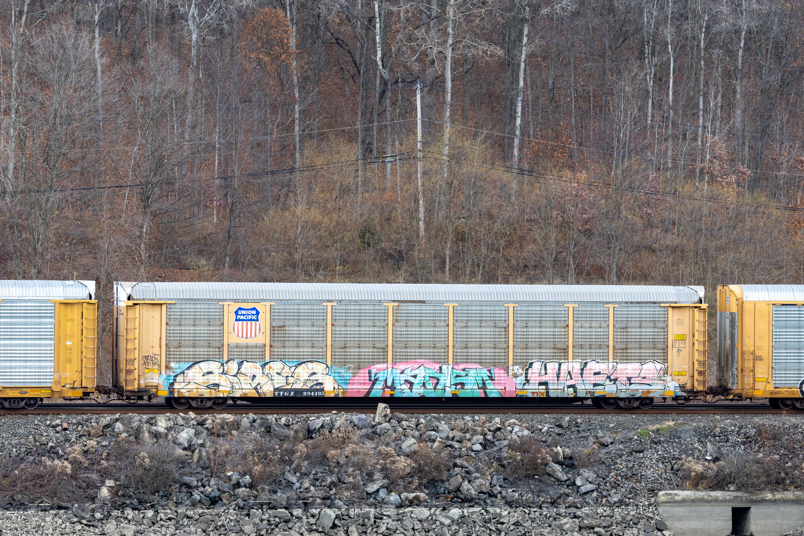 TTGX 994495