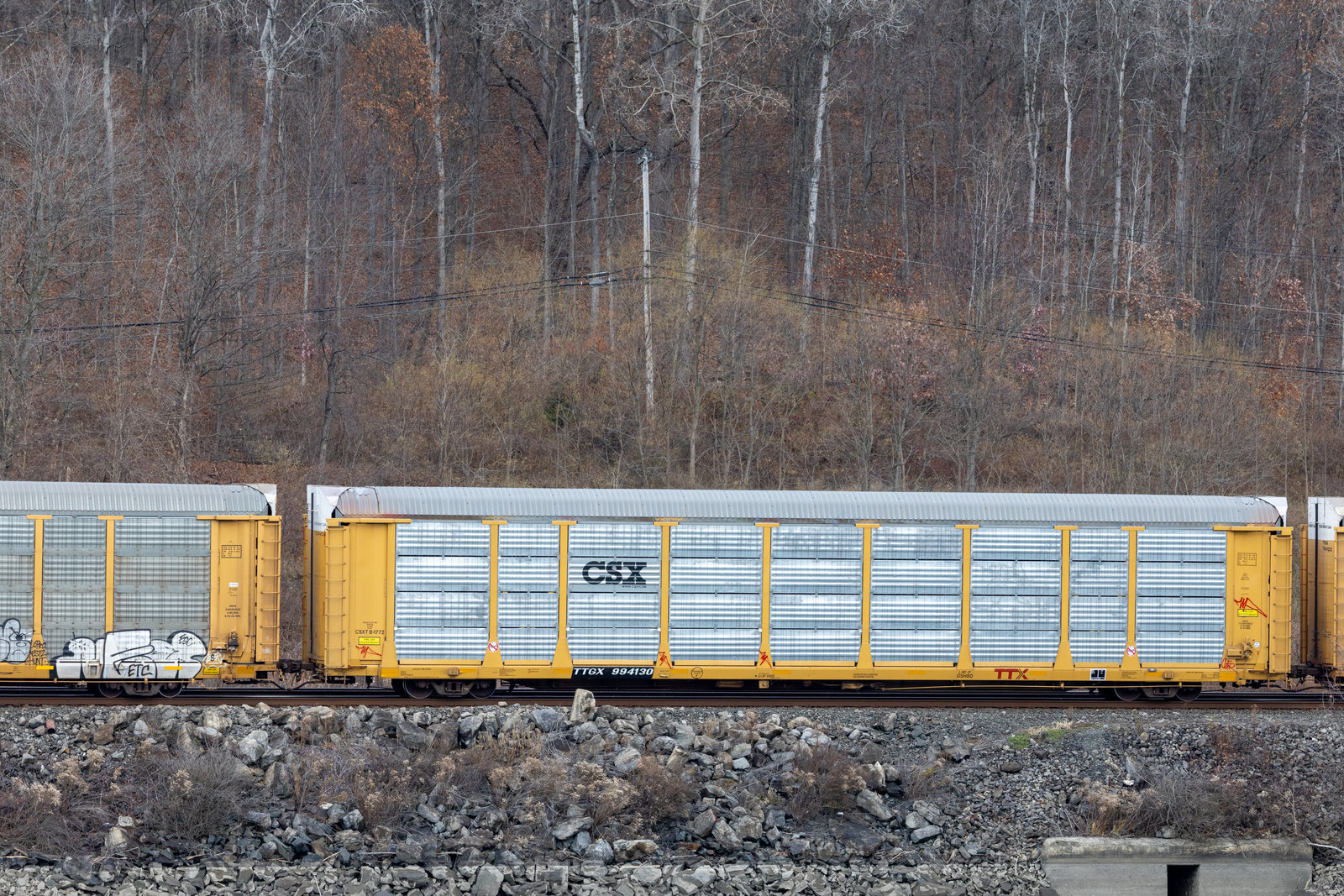 TTGX 994130