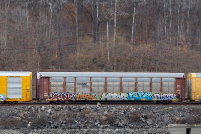 TTGX 974562