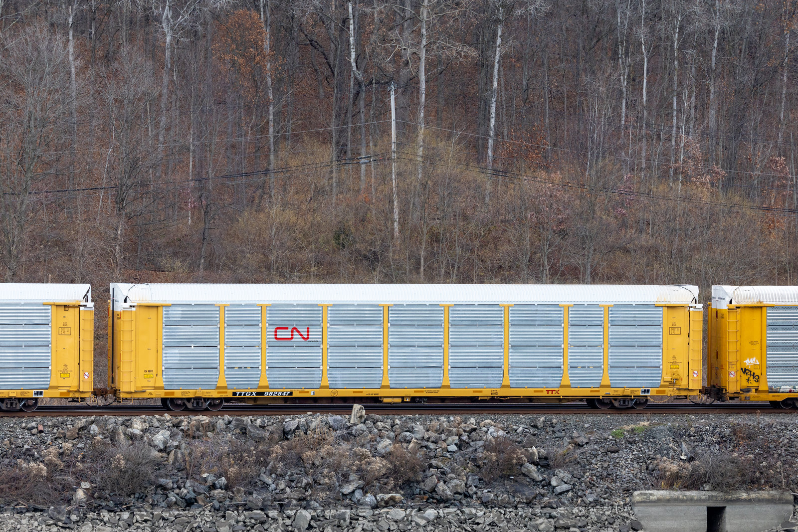 TTGX 982847