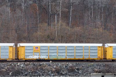 TTGX 981345