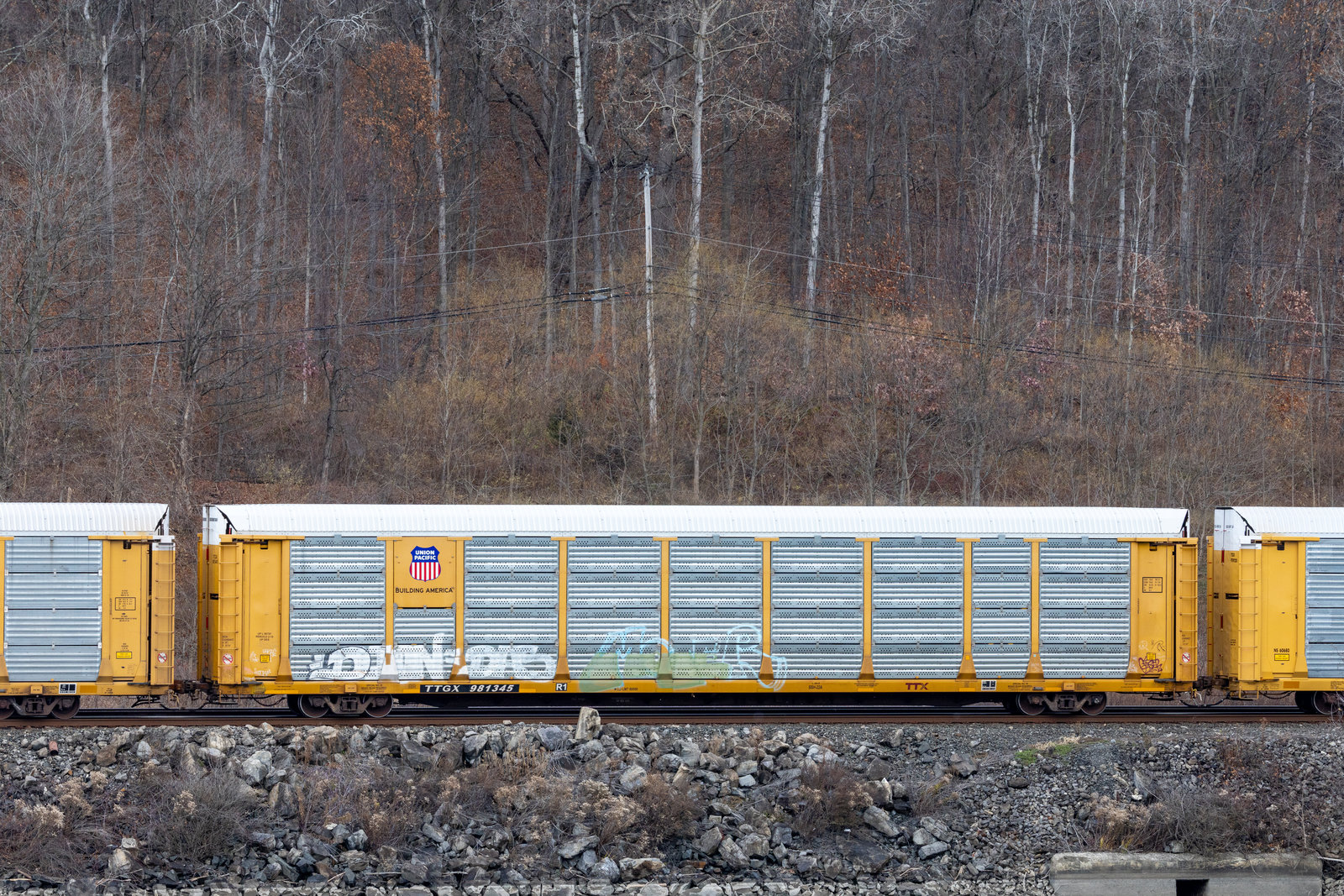 TTGX 981345