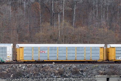 TTGX 981446