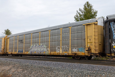 TTGX 987512