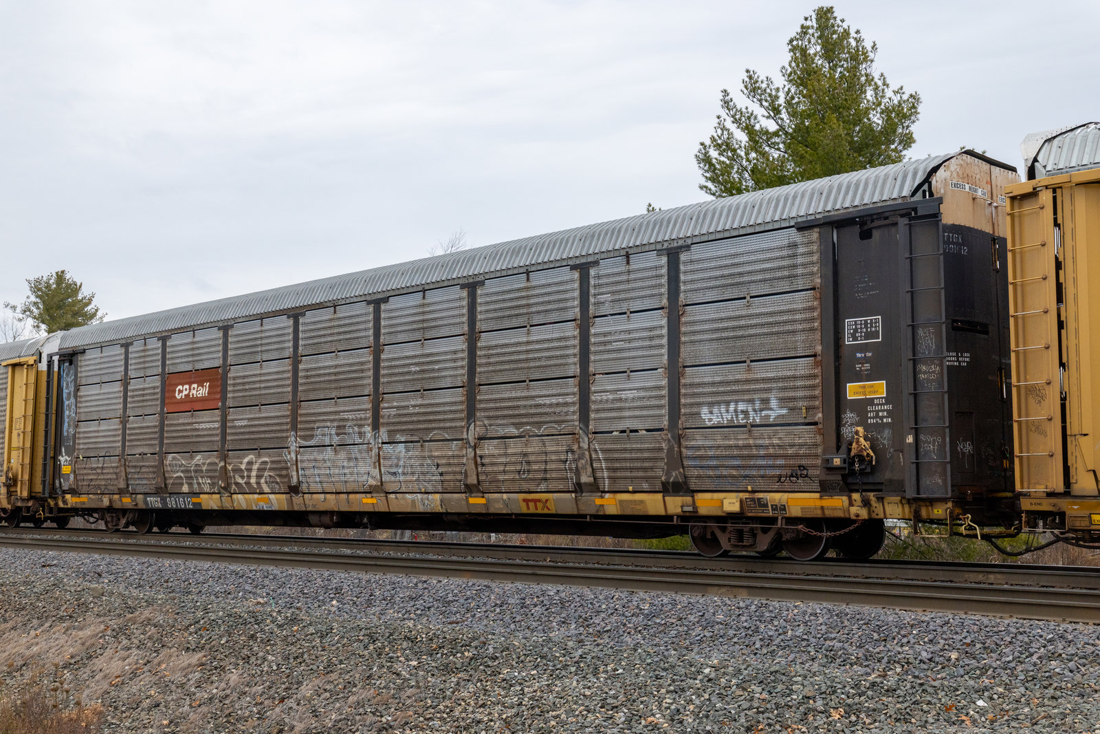 TTGX 981612