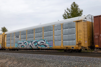 TTGX 985492