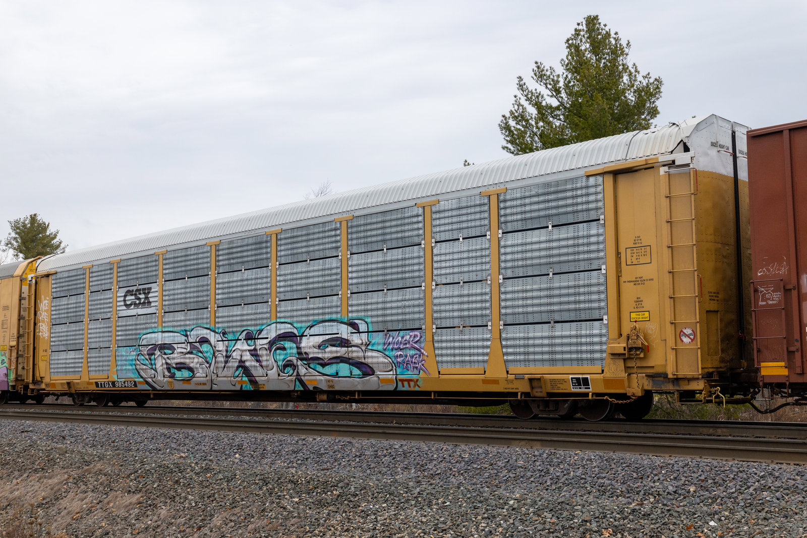 TTGX 985492