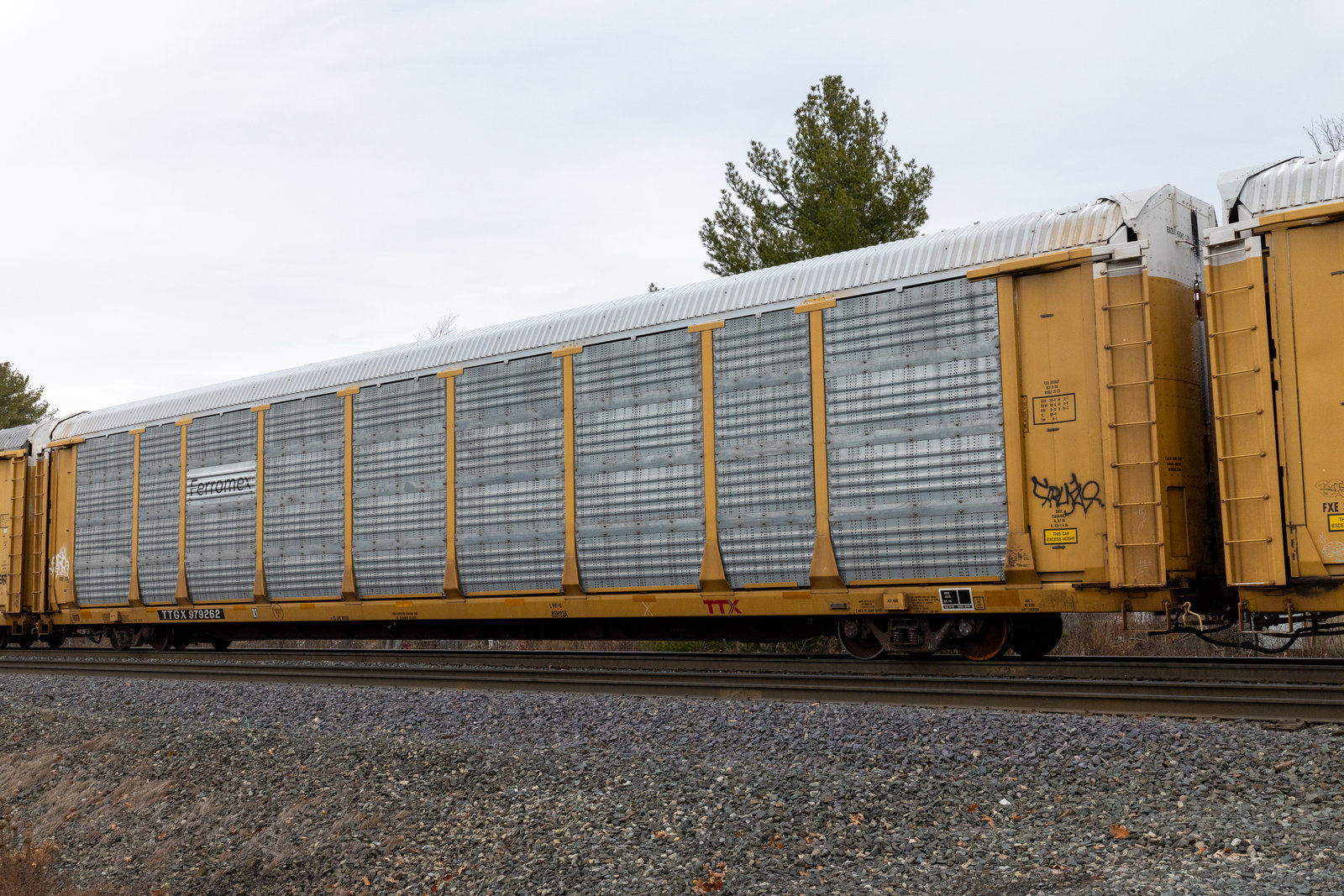 TTGX 979262