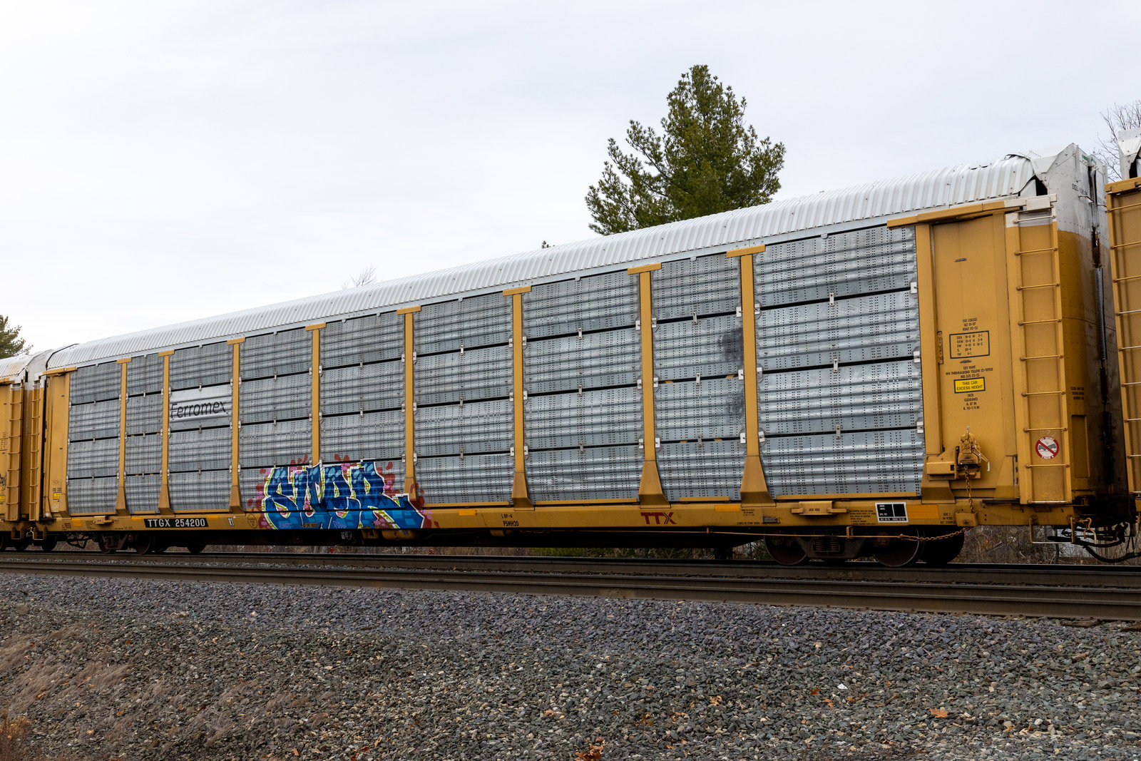TTGX 254200