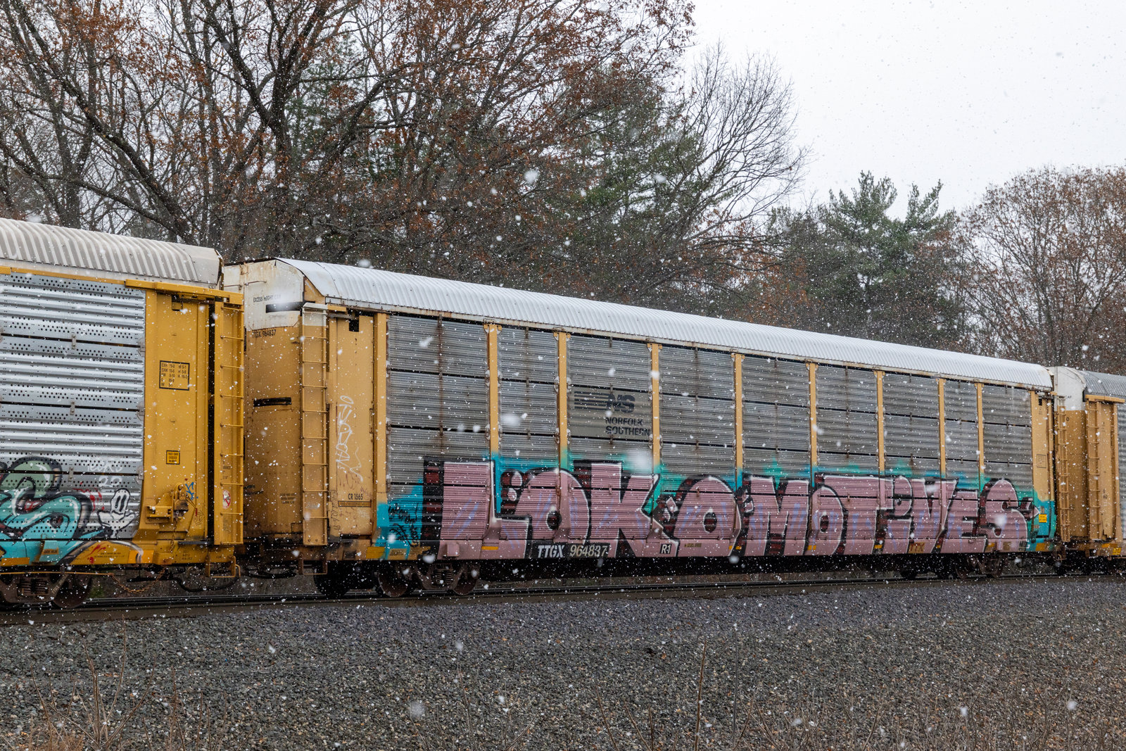 TTGX 964837