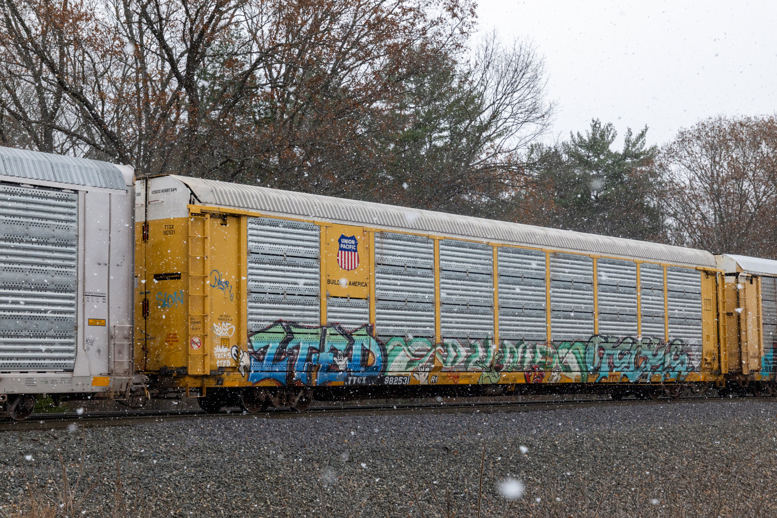 TTGX 982531