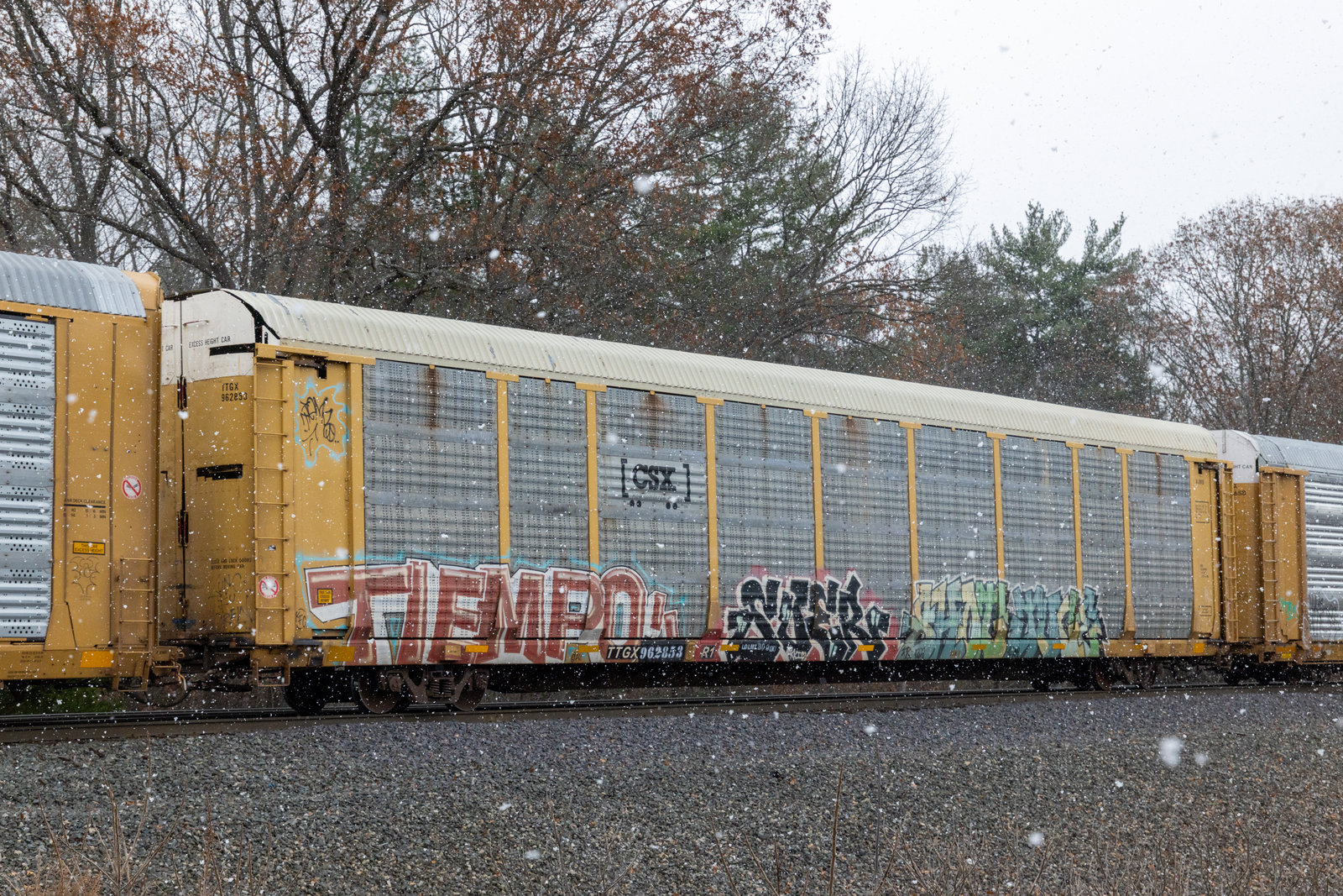 TTGX 962853