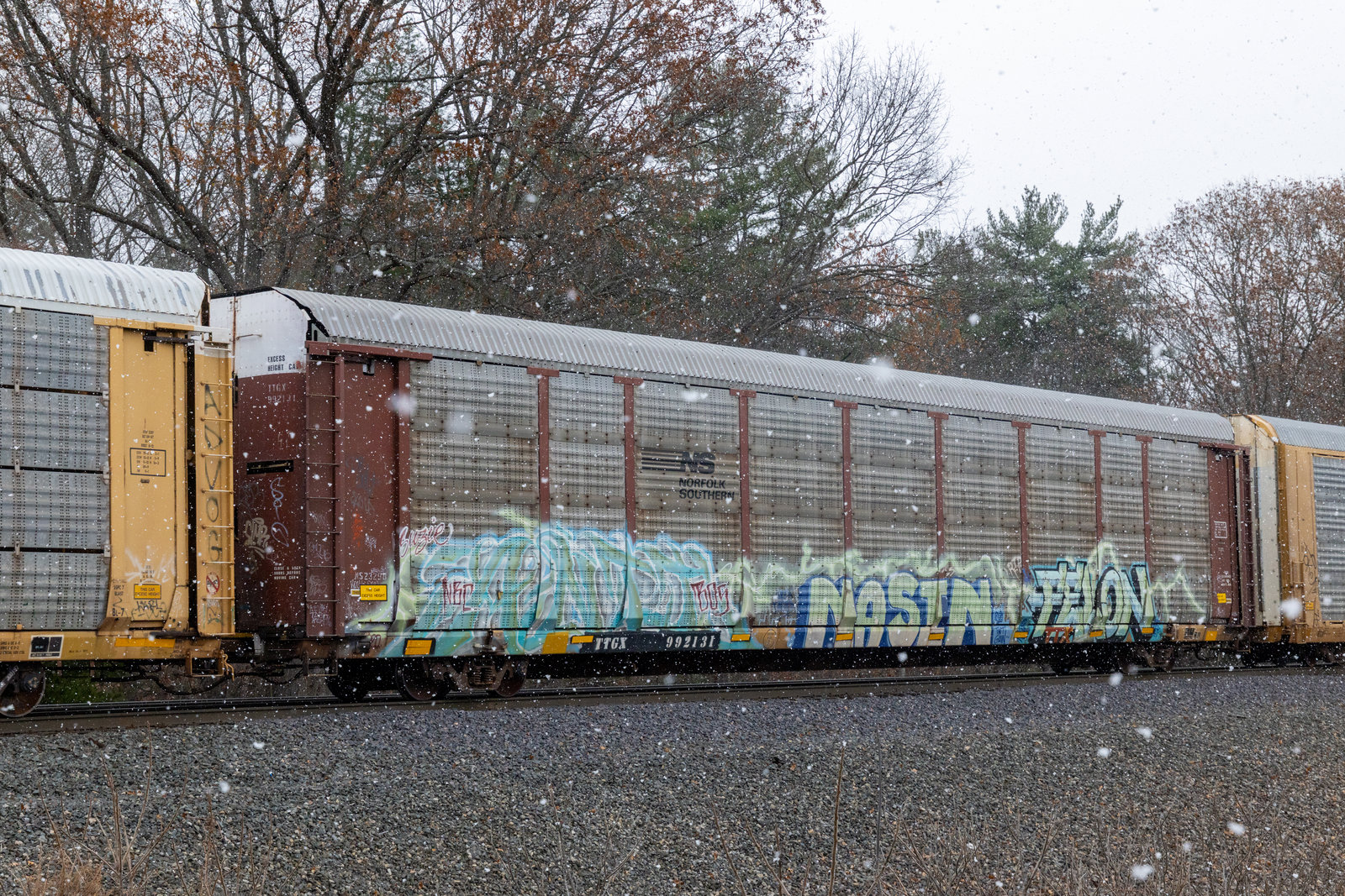 TTGX 992131