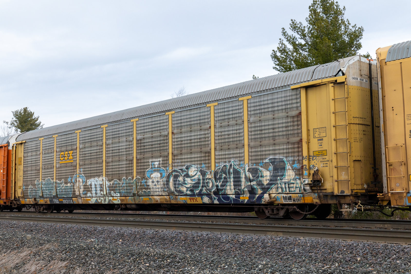TTGX 992116