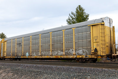 TTGX 983750