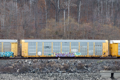 TTGX 716232