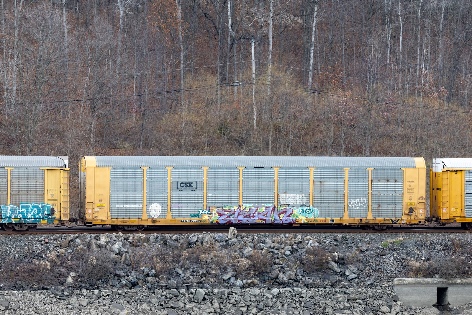 TTGX 716232
