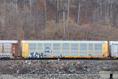 TTGX 716052