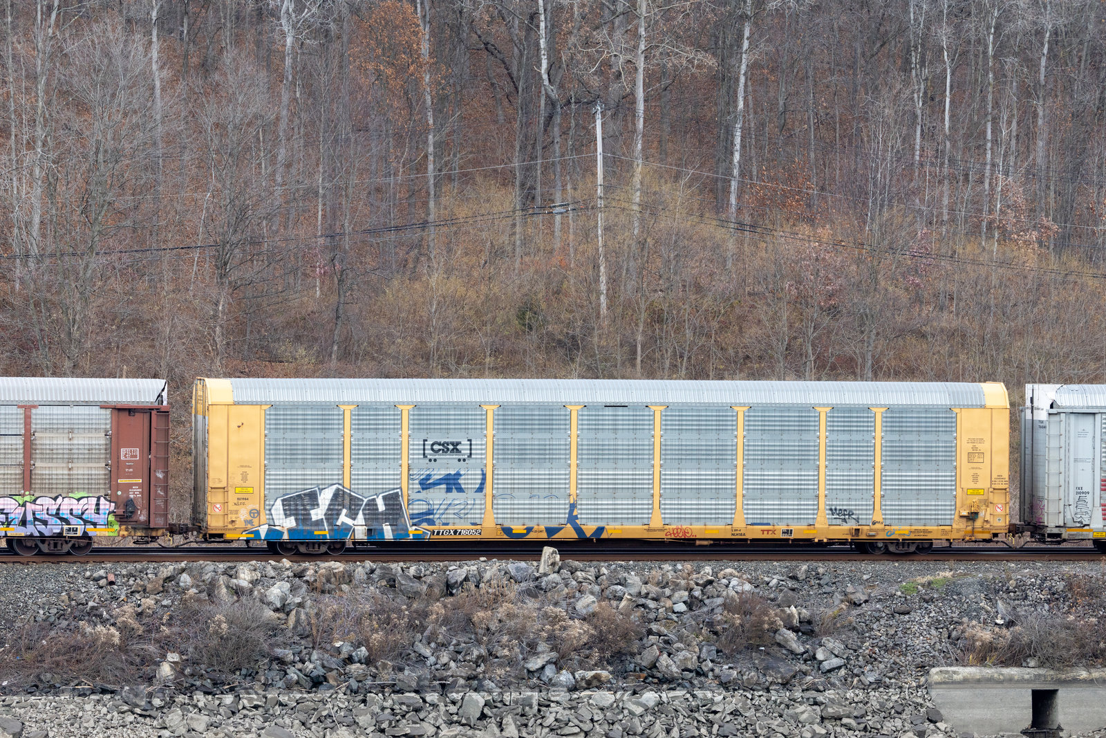 TTGX 716052