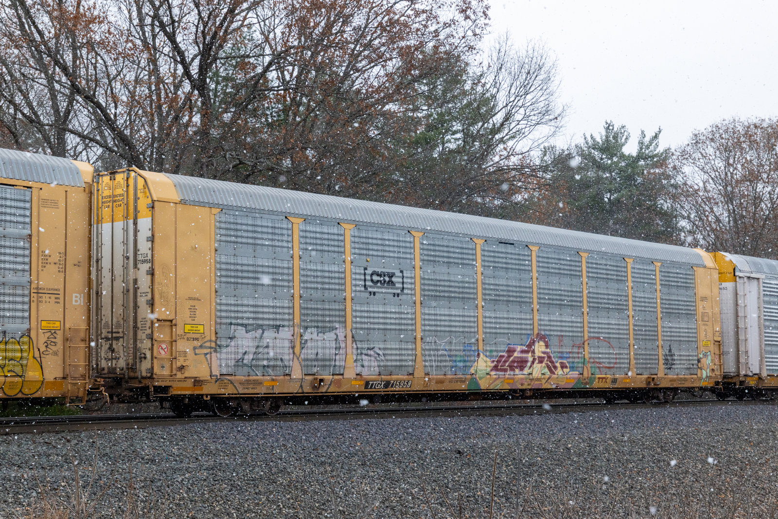 TTGX 715958