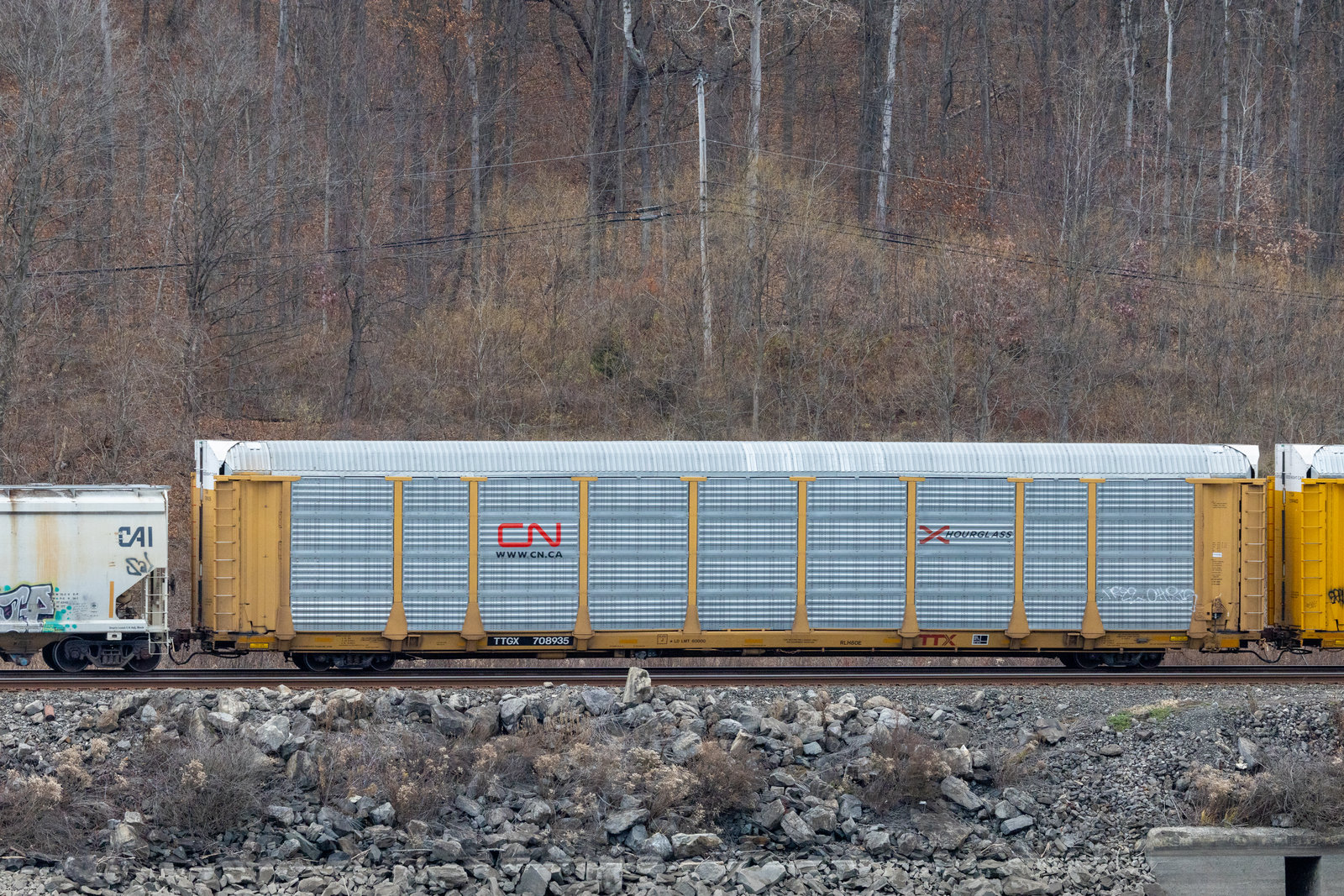 TTGX 708935