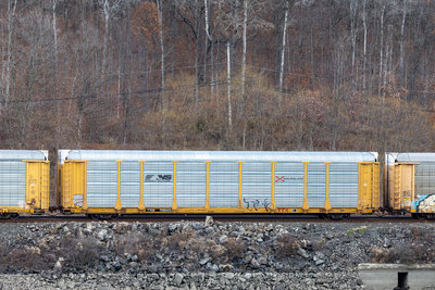 TTGX 708543