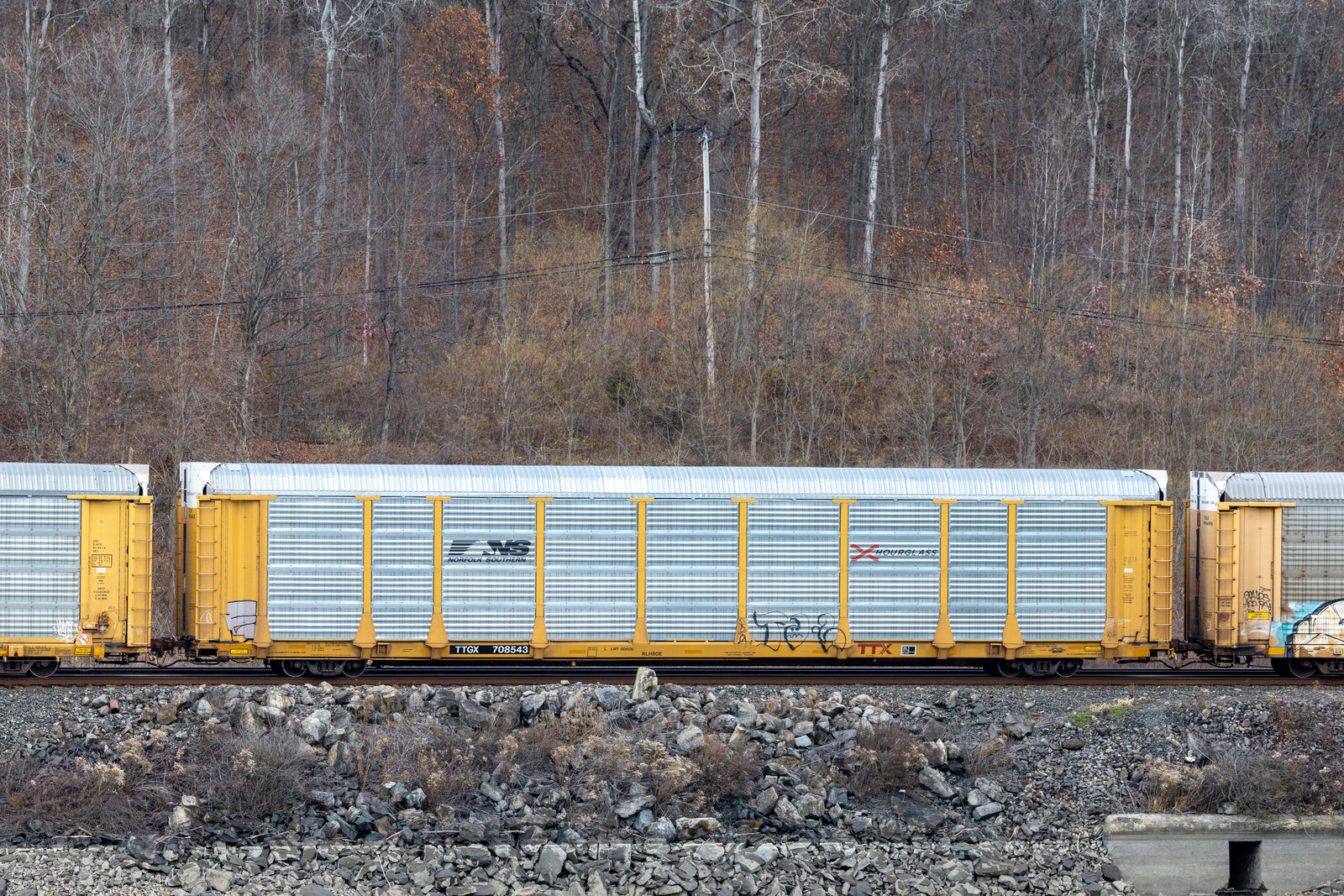 TTGX 708543
