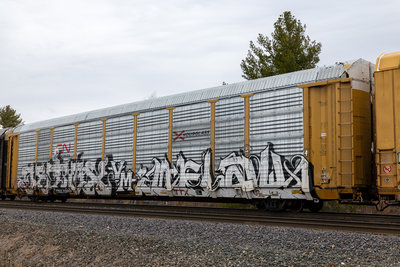 TTGX 708909