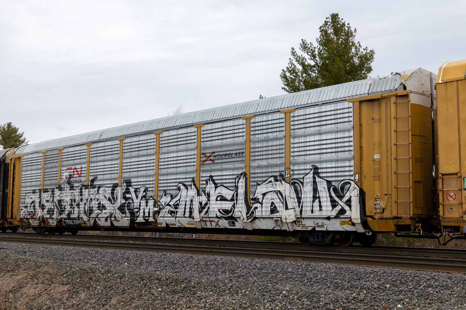 TTGX 708909